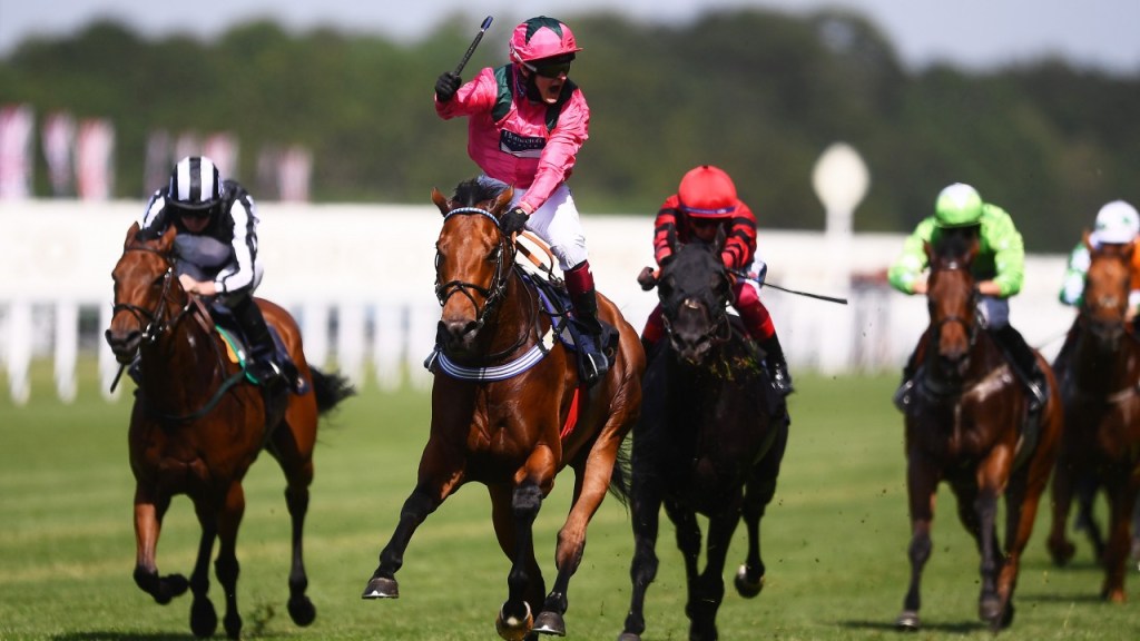 每日賽馬晚報（2021年7月27日），奧斯德鎮因傷整年避戰，神威啟示成新種馬大贏家