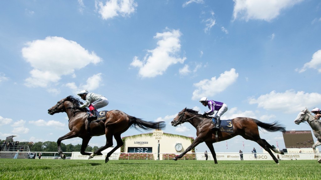 2021年8月15日傑克莫華大賽賽馬日推介（三寶場次推介較短）