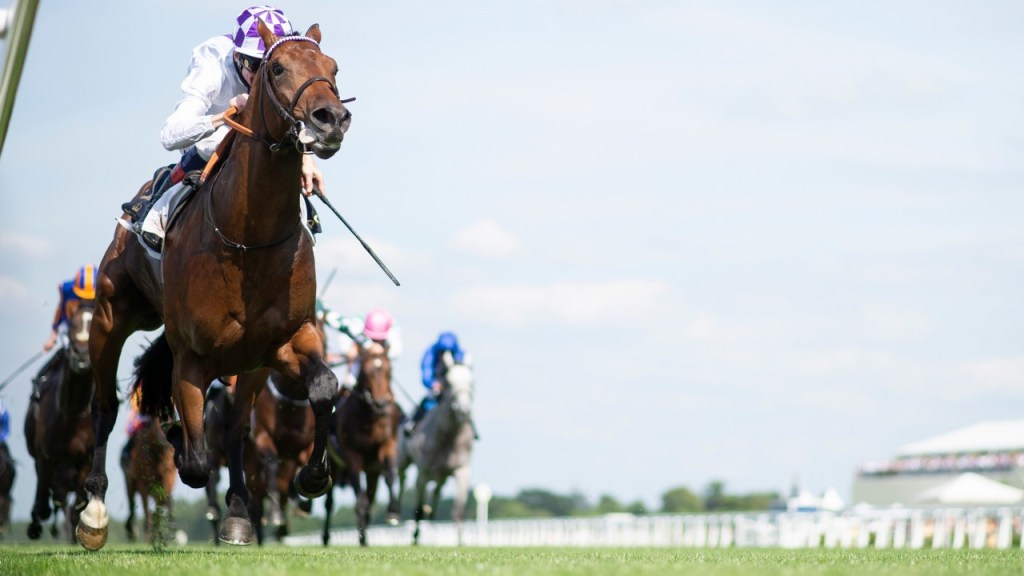 光榮古活壓軸戰駒，鐵馬詩情綻放能否再進一步