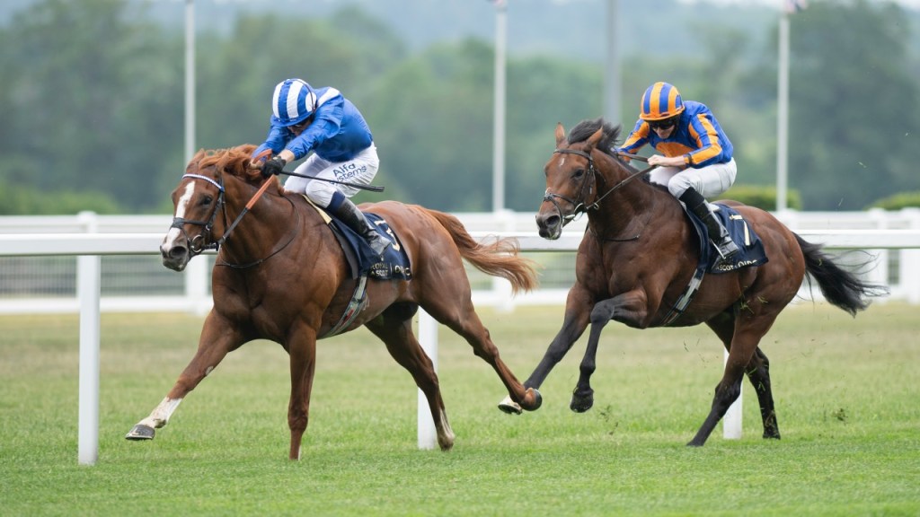 杜拜世界盃賽馬日，無懈駒能否與速度大師鬥速度？