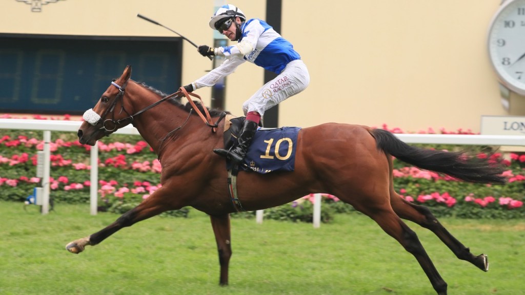 每日賽馬晚報(2021年6月20日),緋緋島主不幸戰死沙場,莫艾誠成為雅士谷騎師王