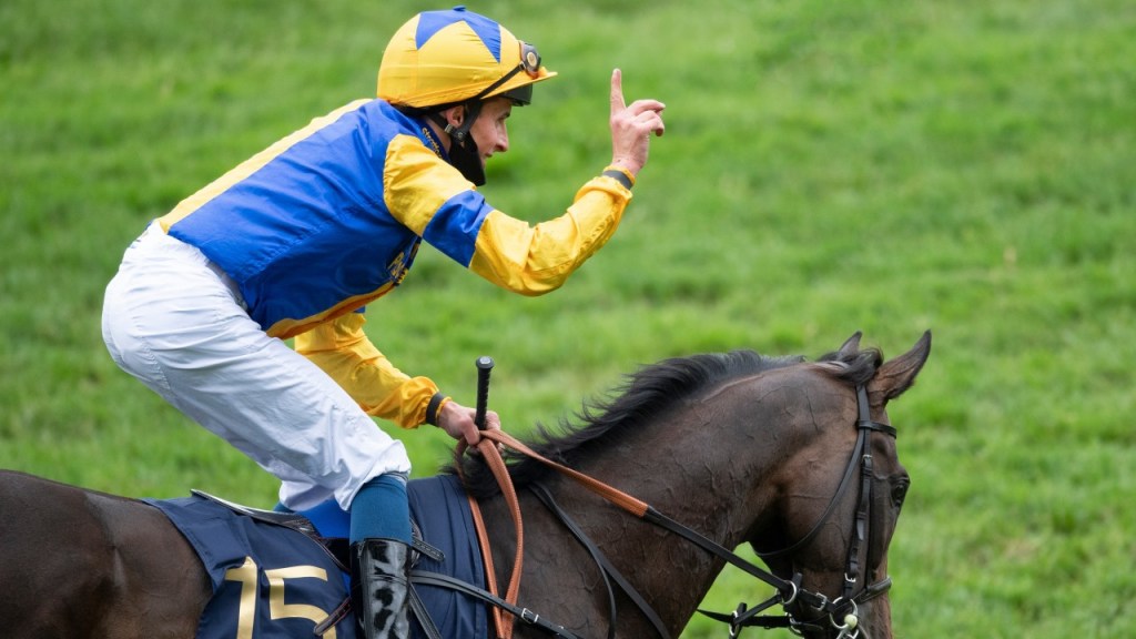 文令山為歡暢今宵報名陷入兩難