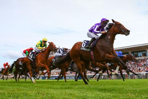 法國橡樹大賽，貞德女傑法蘭西反撲！