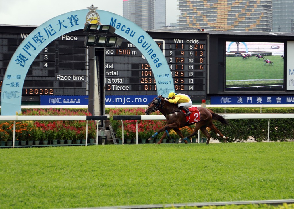 澳門堅尼大賽,國金駒草地照樣贏得
