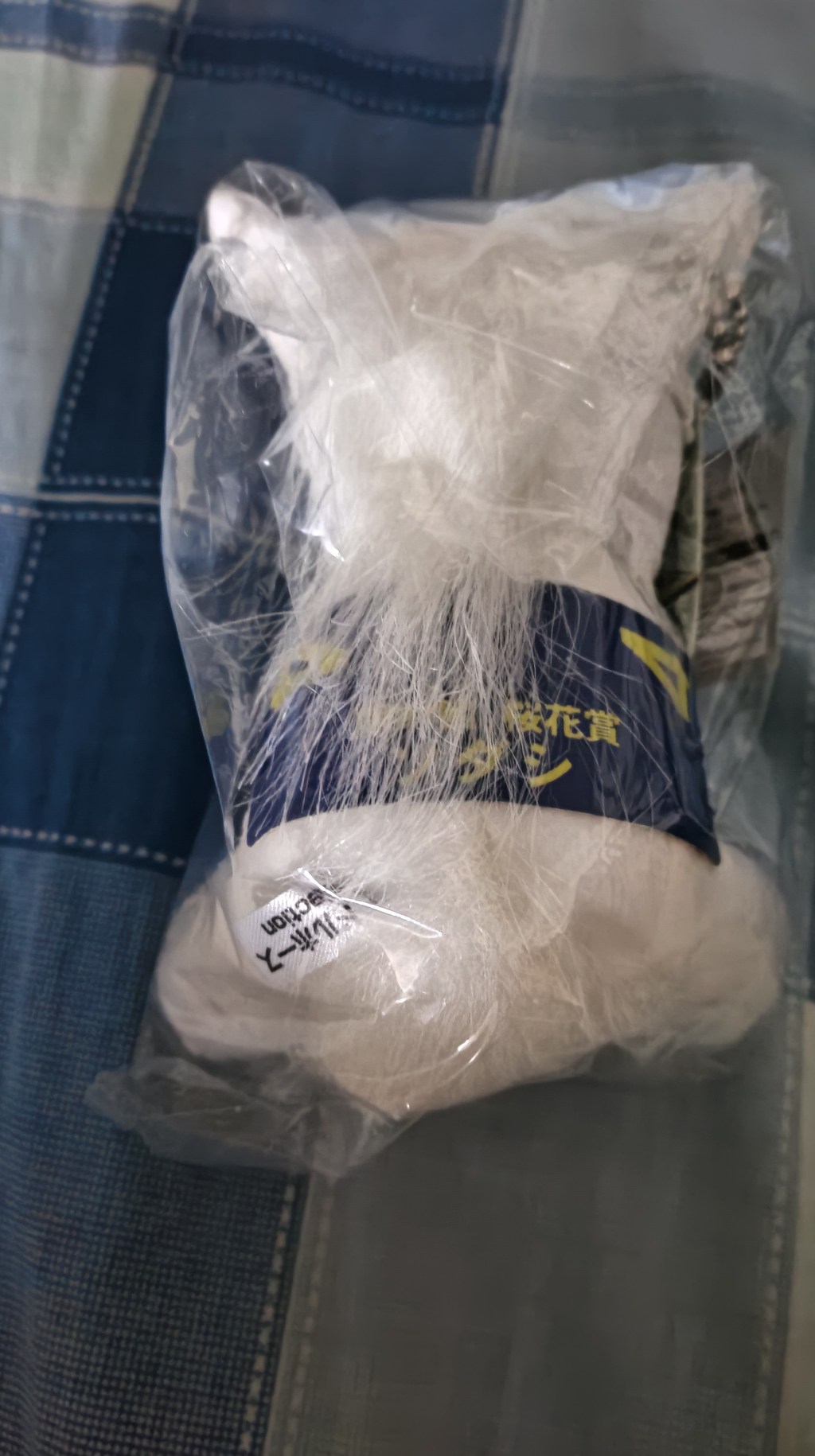 Flameracing2021年度讀者調查啟動（已結束）