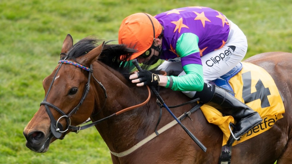 光榮古活馬女大報復寶索夫人