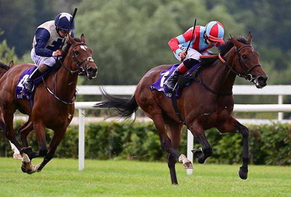每日賽馬晚報(2021年7月9日),巴林賽馬會繼續用巴林國際錦標吸金,主觀主義受傷無緣古活盃