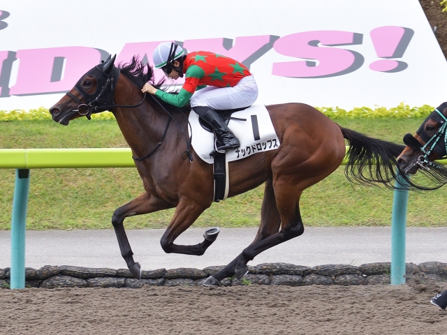 每日賽馬晚報（2021年7月10日），華特兩駒分時段征戰歐洲短途賽，The Factor日本借種一年取首勝