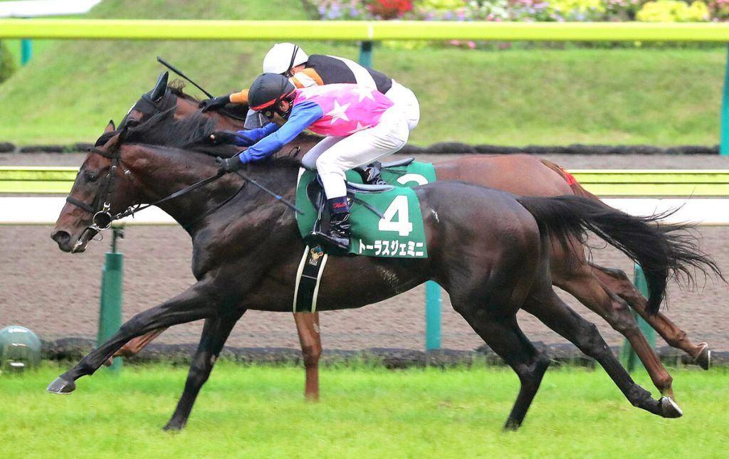 每日賽馬晚報（2021年7月11日），超級星期日賽事特集，颶風萊恩補充報名巴黎大賽，大朋友也買鬼滅之刃馬贏錢