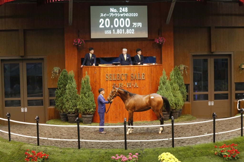 每日賽馬晚報（2021年7月12日），武豐一收「柯打」即去法國準備凱旋門，拍賣場上告別大震撼孩子