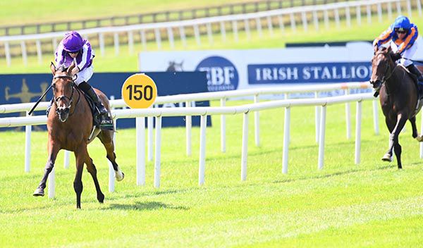 愛爾蘭橡樹大賽，Snowfall路過輕勝