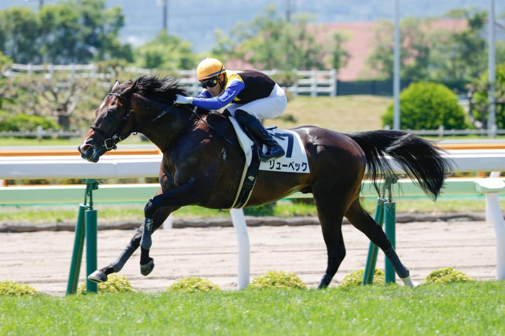每日賽馬晚報（2021年7月18日），超級星期日賽事特集，美麗系Beauty Inspire兩連勝中，迪雅卓全弟初出一放到底贏馬