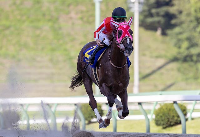 每日賽馬晚報（2021年7月20日），BBC節目指愛爾蘭馬匹被送往英國屠宰場，海上宮殿進度趕不及於薩塞克斯錦標復出