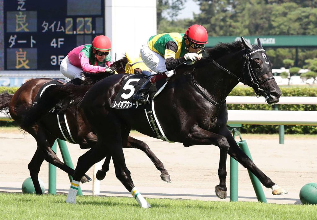 每日賽馬晚報（2021年7月24日），星耀峻嶺復出僅差半步，新潟競馬場紀錄不斷打破