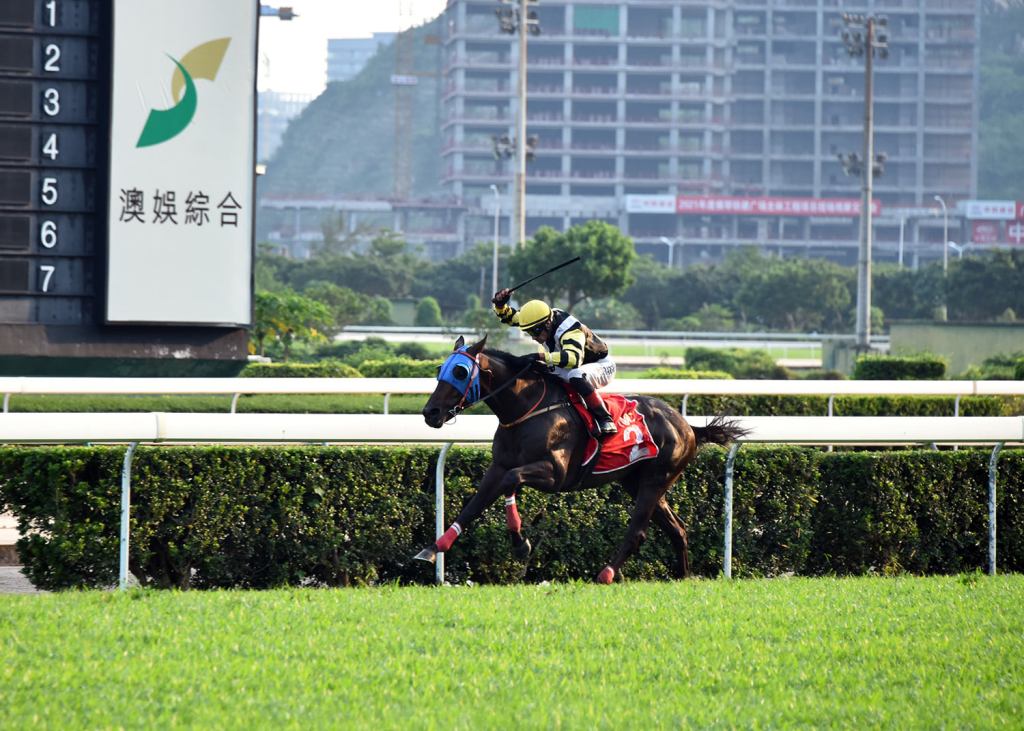 澳門打吡大賽,再出沙地馬贏草地賽,西門吹雪爆冷得勝