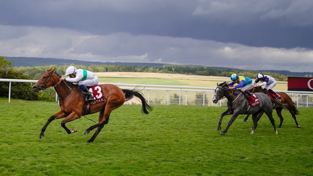 英皇佐治錦標，法國馬爽颯大還擊，巴特殊三甲不入