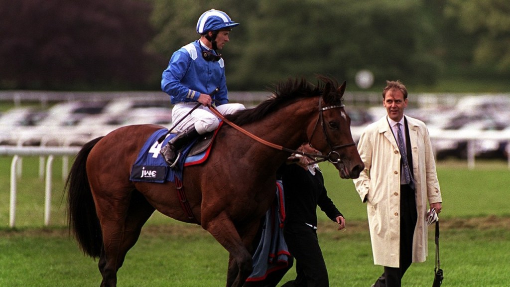 高多芬沙德韋爾名駒生氣離世