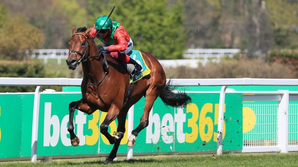 每日賽馬晚報(2021年8月31日),馬會概念投注站量產化,稱帝森林今季完全避戰