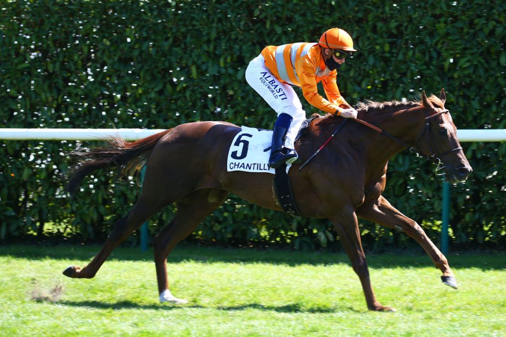 紀爾斯大賽神秘伏兵，七連勝中萬靈足