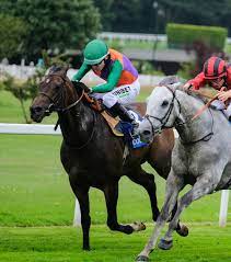 2021年8月20日楠索普錦標賽馬日連戰結束最終之選