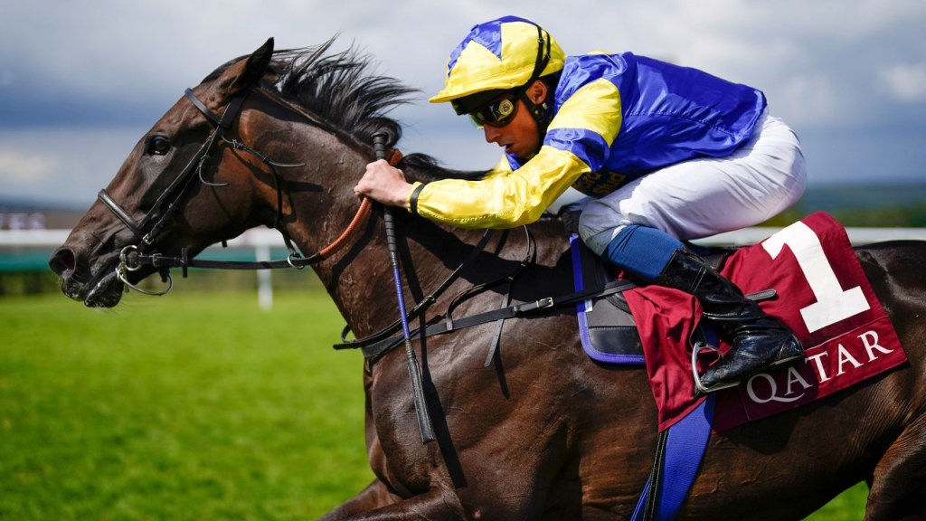 歡暢今宵週五宣佈退役