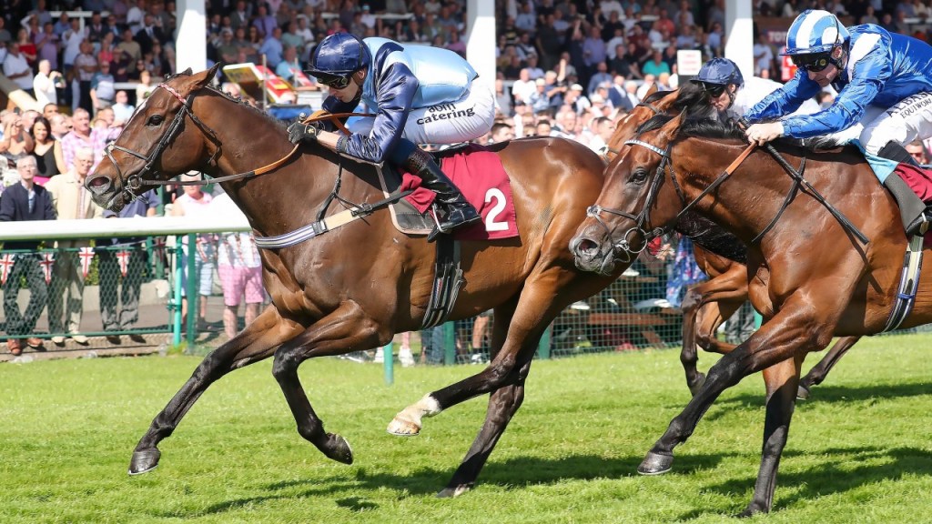 每日賽馬晚報（2021年8月11日），萬靈足終極避戰傑克莫華大賽，古摩亞以260萬美元爭贏Into Mischief雄馬