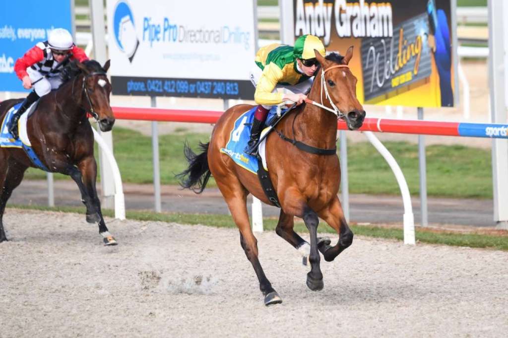 每日賽馬晚報（2021年8月10日），再多五駒以歐洲路征參加墨爾本春季嘉年華，前香港馬星耀之光處女馬賽大勝五個馬位