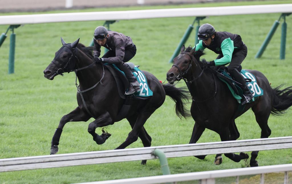 4億身價馬週末上陣，你要知道藤田晉成為馬主幾件事