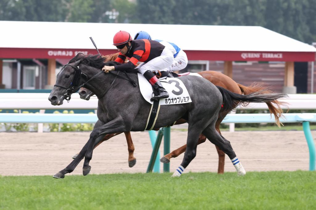 每日賽馬晚報(2021年8月16日),維省賽馬會增獎金打對抗,金教堂國際錦標打避戰牌