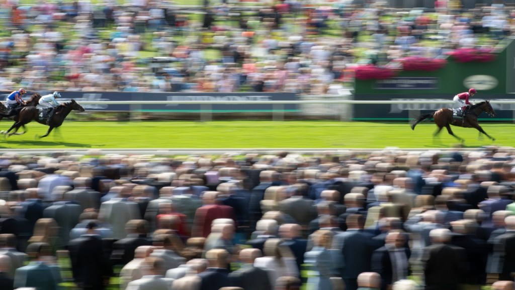 2022年8月17日國際錦標賽馬日推介