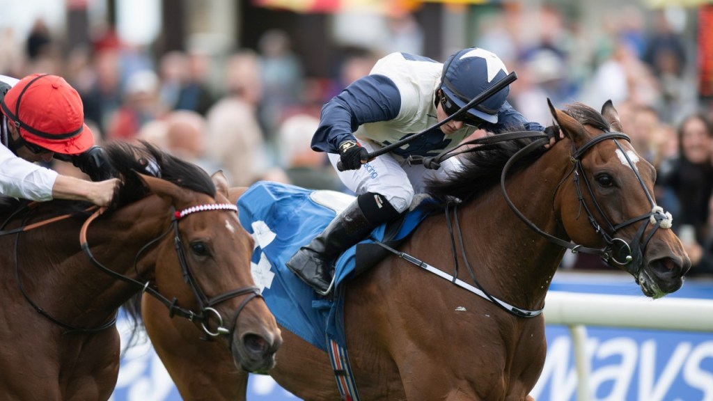 每日賽馬晚報(2021年8月20日),獅吼震天或參加墨爾本賽事,尚羅曼尼錦標賽馬日兩大G1前瞻