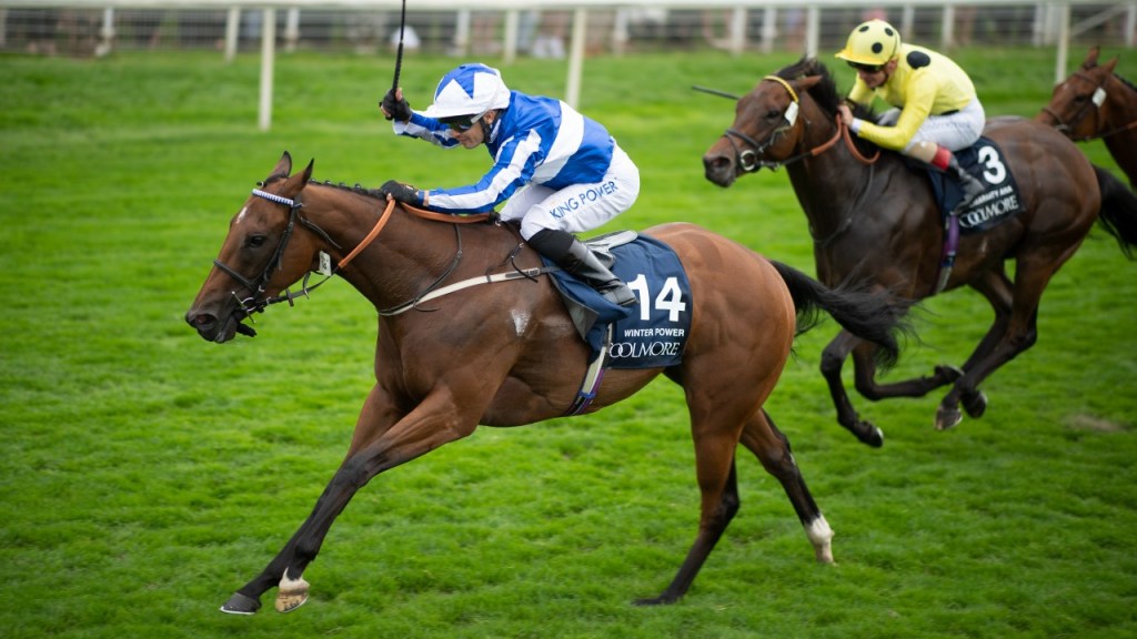 百屆凱旋門場外主力馬，王權發揮冬勁