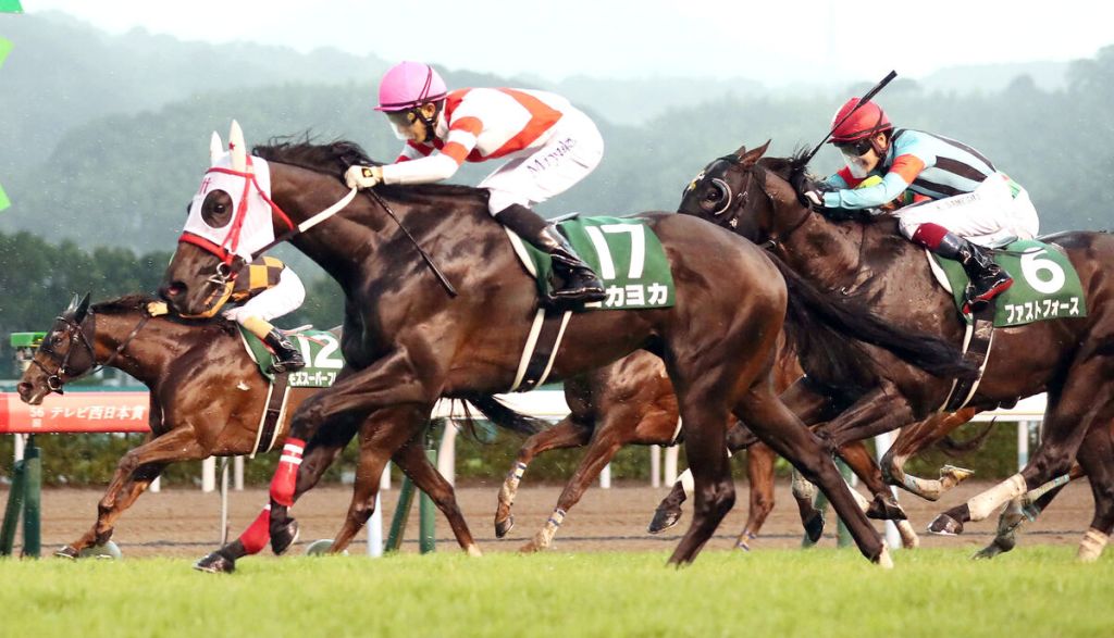 每日賽馬晚報（2021年12月21日），佐佐木世麗下週二首戰JRA賽事，高情厚意與有馬紀念結緣