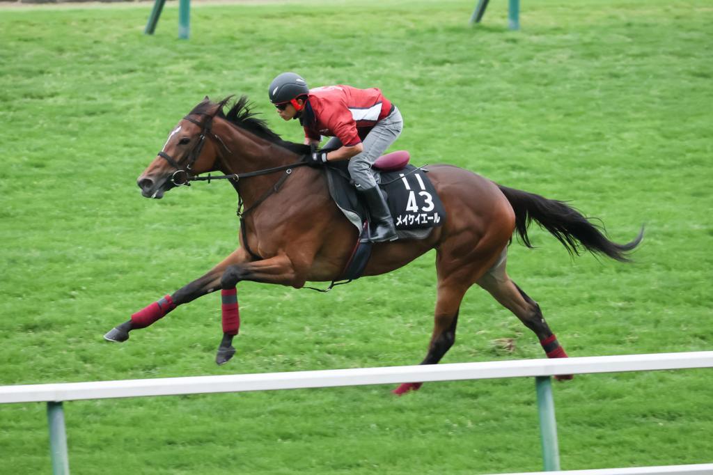 短途馬錦標電擊戰，如何捉摸齊叫好 的脾性？