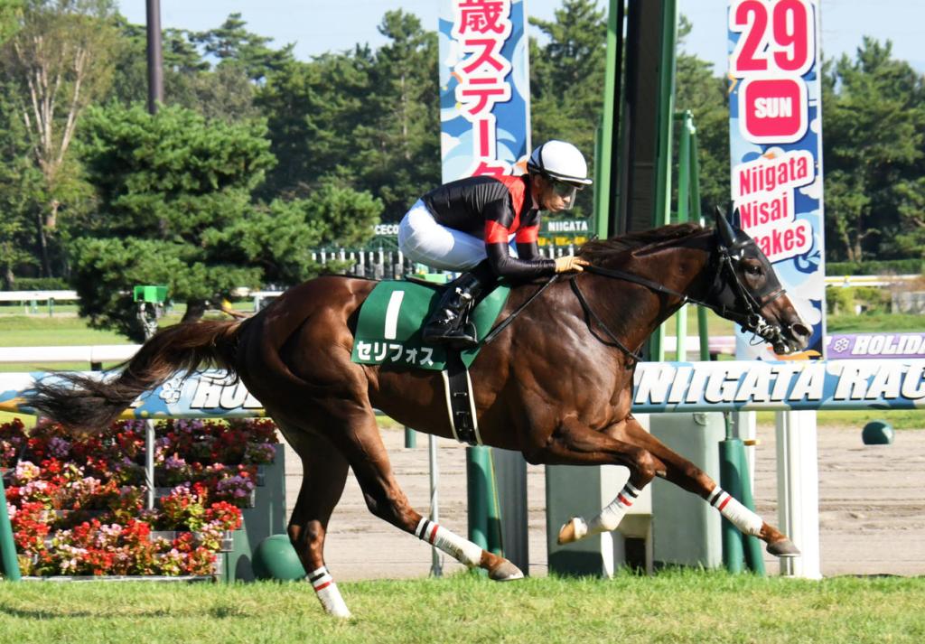 每日賽馬晚報（2021年8月29日），薛凱華參與群聚三個月後見，星州重罰一名騎師釘牌兩年