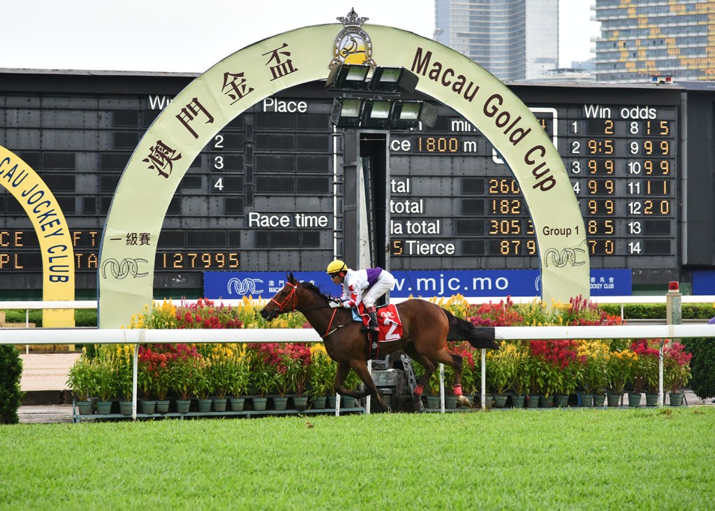 濠江完全趕絕賽馬任何聯繫