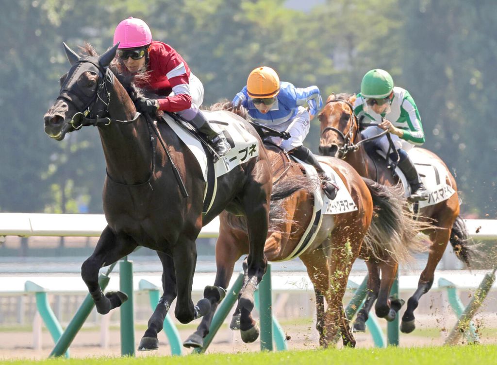 4億7千萬日圓身價馬初出輕勝,藤田晉馬主初勝利