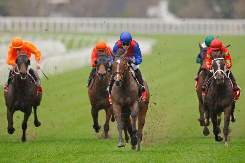 每日賽馬晚報（2021年9月4日），投票決定歐洲最強短途馬，綠化帶品德高尚Easy Win