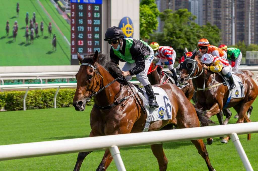 緊張大師澳洲如何備戰