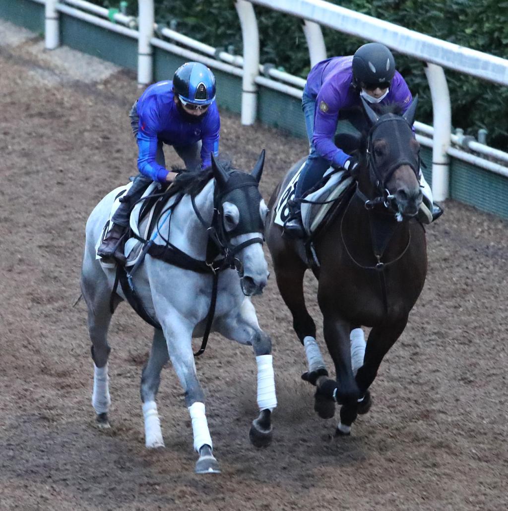 每日賽馬晚報（2022年2月25日），布宜學染疫確診，機伶夢狀態不起退役