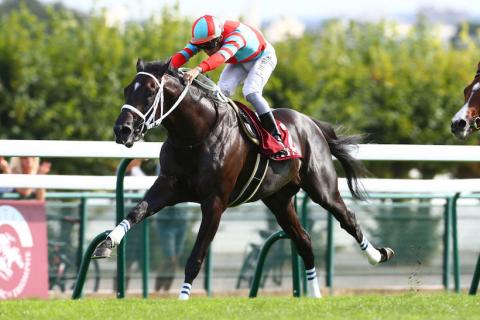 尼爾錦標翩翩舞姿退出及日本馬緣厚情摯贏出福伊錦標，附凱旋門大賽最新賠率分析