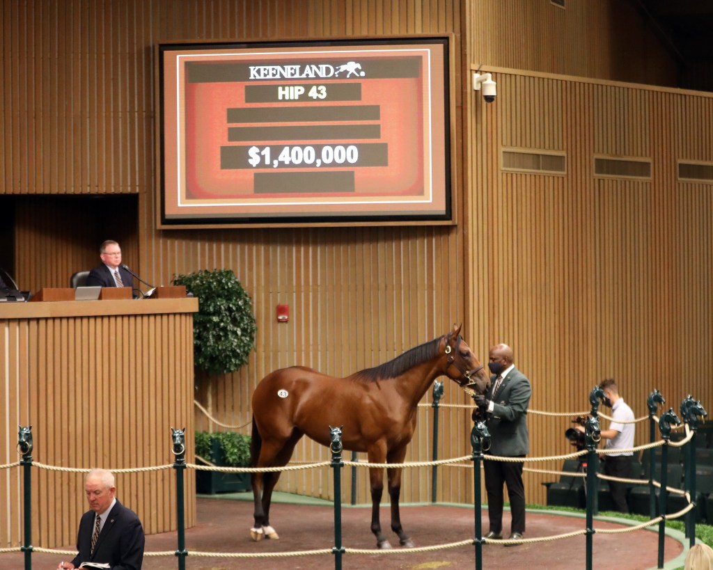 每日賽馬晚報（2021年9月14日），川河達駒首映錦標復出，堅蘭拍賣會開波，美式法老高開