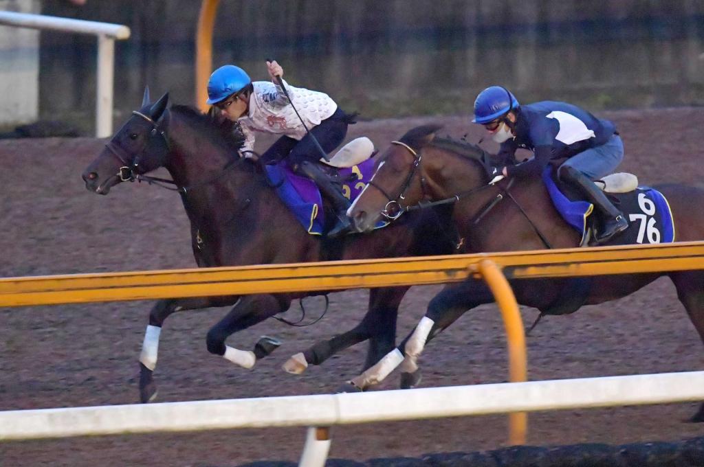 打吡冠軍大帝復操