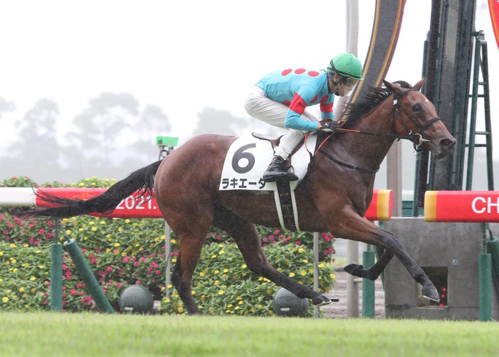 每日賽馬晚報（2021年9月18日），大利威勇況衝凱旋門，林家閃電輕取萊佛士盃