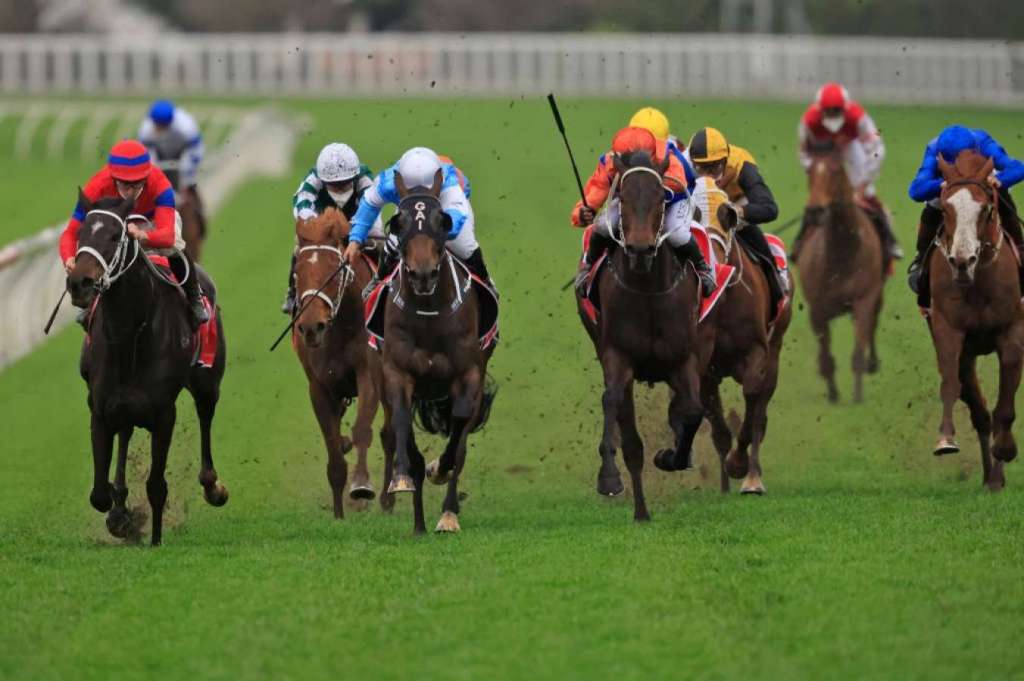 佐治文斯錦標，雍容爾雅一級賽再躍進