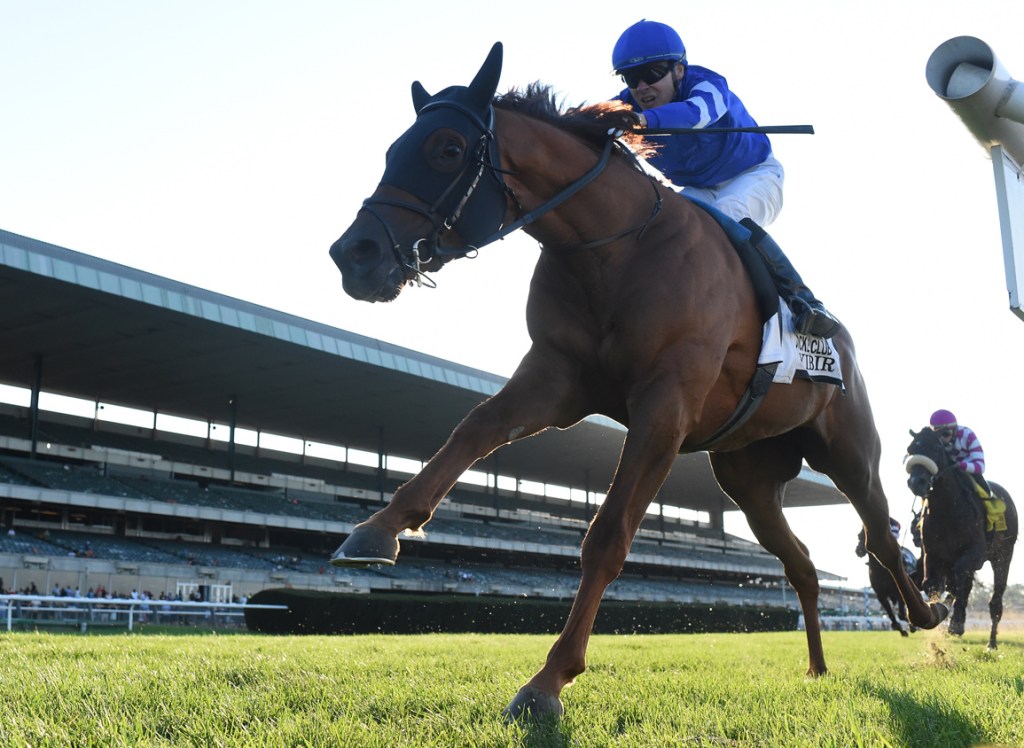 賽馬會打吡，伊比爾族跑替代賽輕鬆大勝