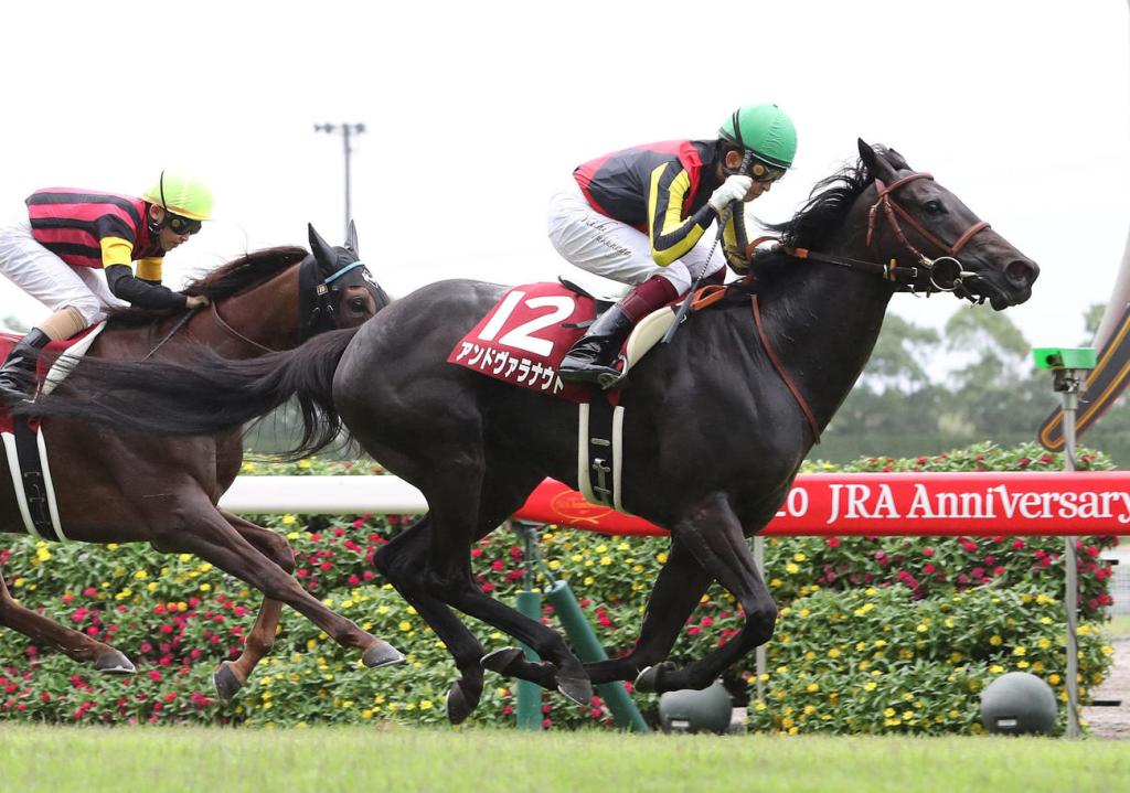 良血馬指環魔力能否成賽事黑馬？