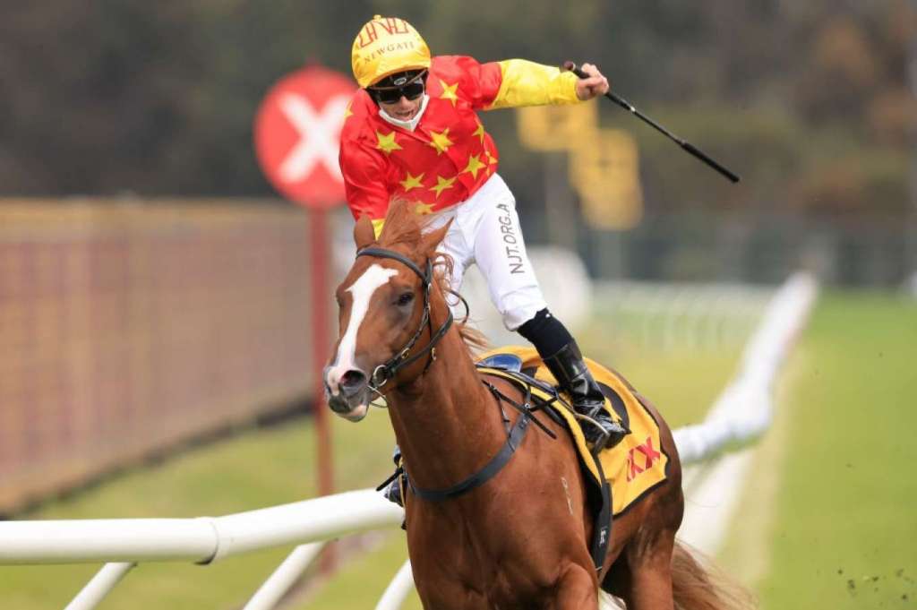 每日賽馬晚報(2021年9月25日),地獄火參加珠峰,郭立基著火替In the Congo擊敗愛禮物