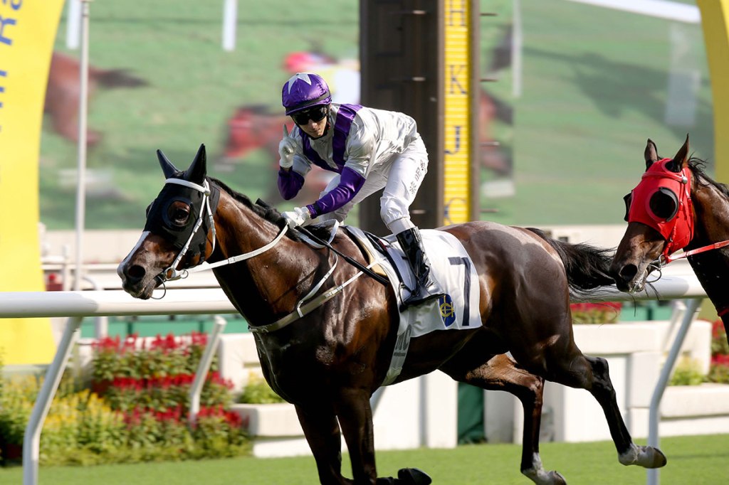 慶典盃,二郎爆冷一放到底