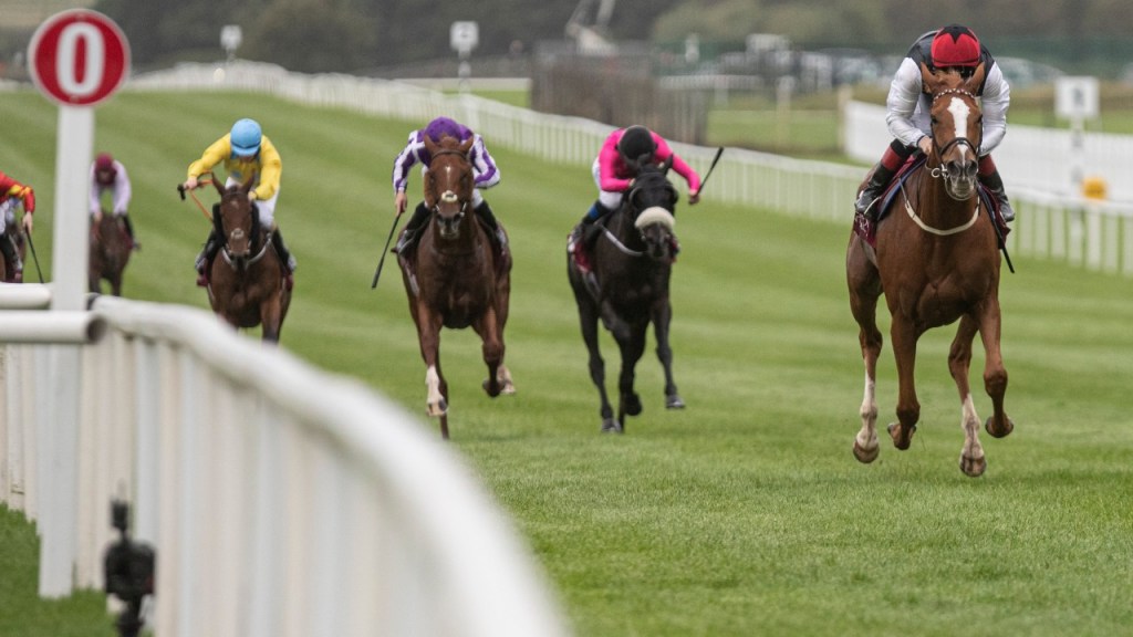 每日賽馬晚報（2021年9月27日），雅靈頓國際馬場最後一天，登山英雌再贏多一場德國一級賽